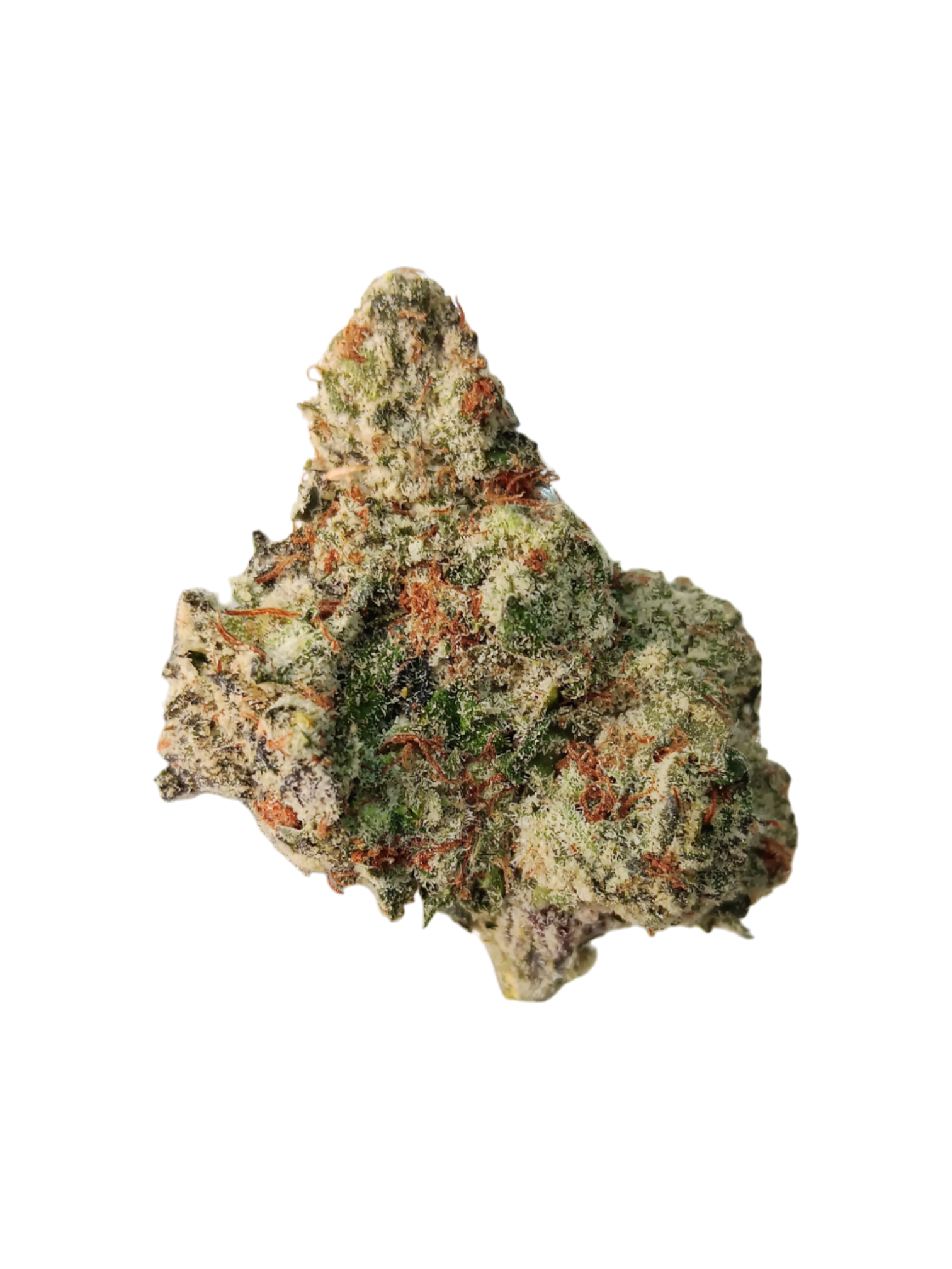 oreoz-hybrid-top-shelf-hemp-connect